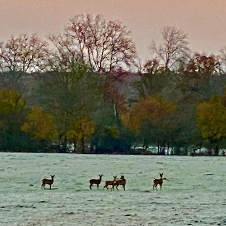B&B Chateau De Preuil Vallenay Bagian luar foto