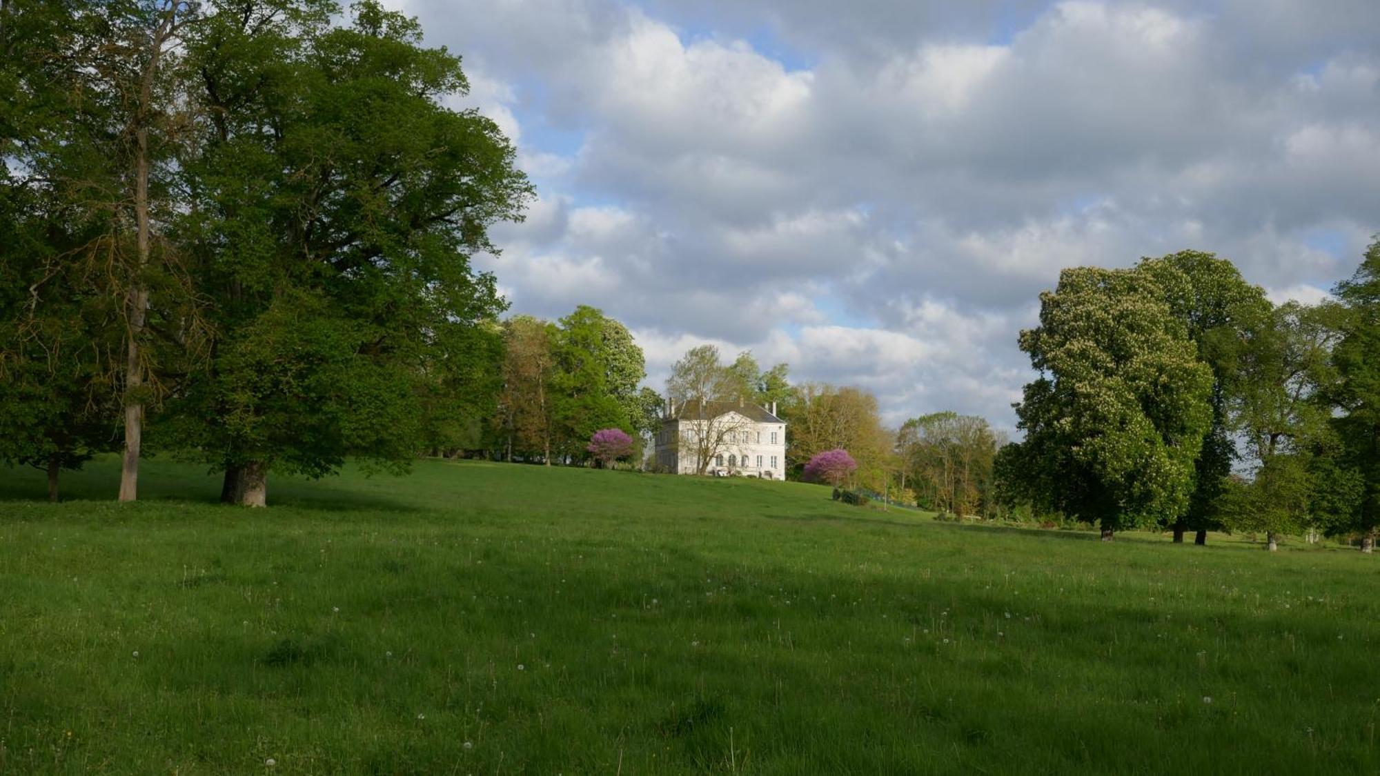 B&B Chateau De Preuil Vallenay Bagian luar foto