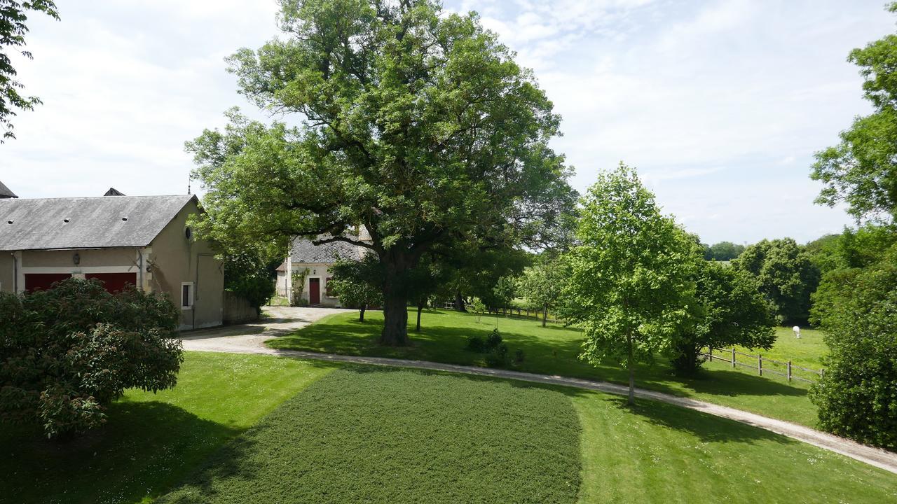 B&B Chateau De Preuil Vallenay Bagian luar foto